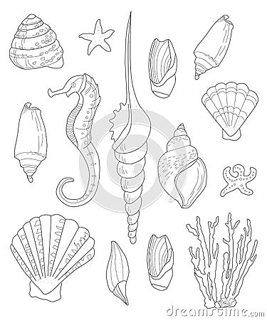 Hand drawn shells for Coloring pages for adults, Vector Illustration