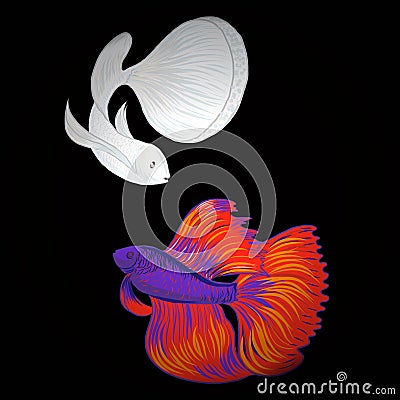 Hand drawn siamese fighting fish, vector Vector Illustration