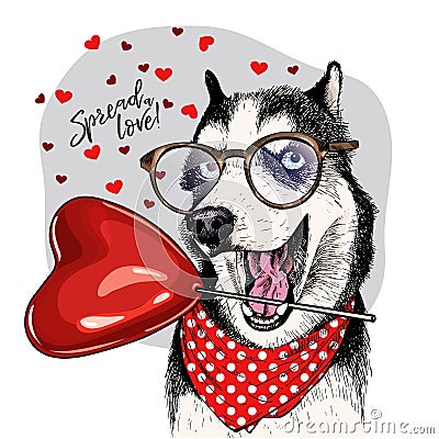 Hand drawn siberian husky with heart shape baloon. Vector Valentine day greeting card. Cute colorful dog wears glasses Vector Illustration