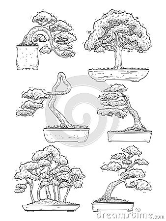 hand drawn side view Bonsai tree vector set. Vector Illustration