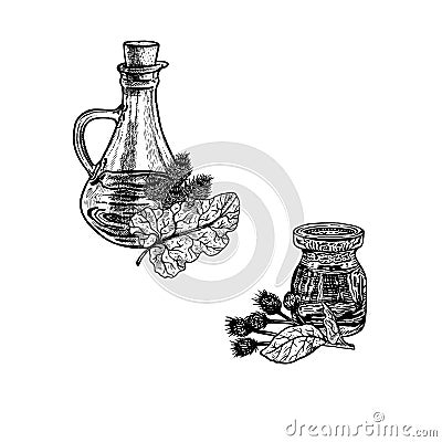 Hand drawn sketch of burdock oil. Extract of plant. Vector illustration Vector Illustration