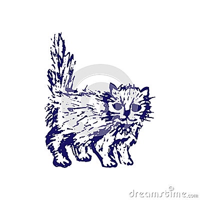 Hand drawn sketch of cat kitten. Blue ink line drawing isolated on white background. Cute little pet. Vector animal illustration. Vector Illustration