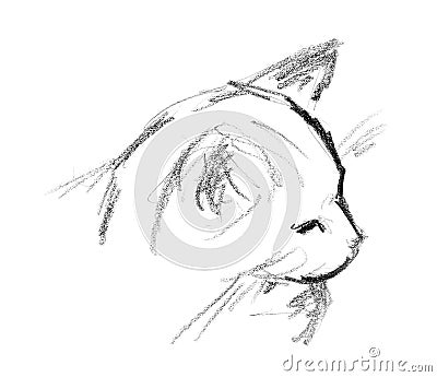 Hand drawn sketch of cat's head Stock Photo