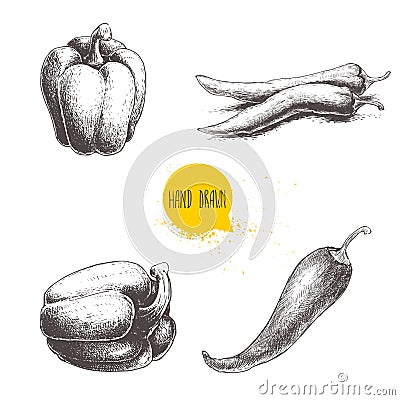 Hand drawn sketch collection of different types of pepper. Bell sweet pepper and red hot chili peppers. Vector Illustration