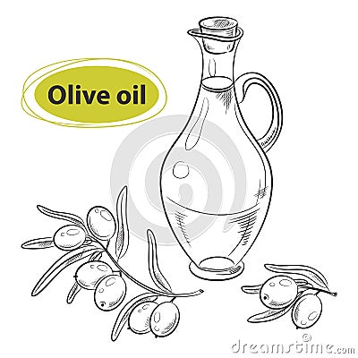 Hand drawn sketch - collection of olive oil bottles with olive branches and olive berries Vector Illustration