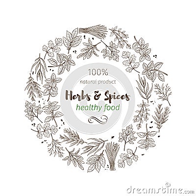 Hand drawn sketch herbs and spices Vector Illustration