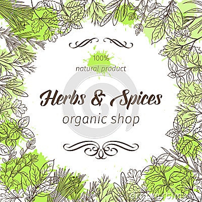 Hand drawn sketch herbs and spices Vector Illustration