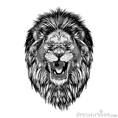 Hand drawn sketch of lion head in black isolated on white background. Vector Illustration