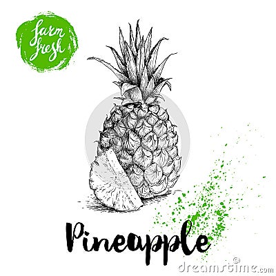 Hand drawn sketch pineapple poster. Vector pineapple with slice eco food illustration. Hand drawn farm fresh badge. Vector Illustration