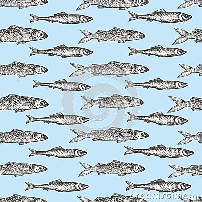 Hand drawn sketch seafood background. Vector seamless pattern with fish. Vintage mullet and sprat illustration. Can be Vector Illustration