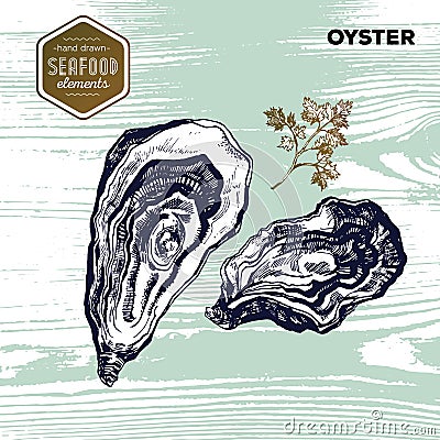 Hand drawn sketch seafood of oysters and parsley. Vector Illustration