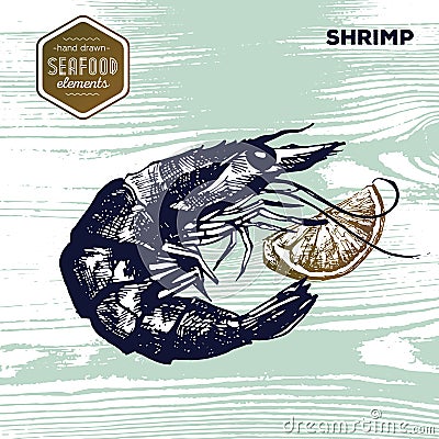 Hand drawn sketch seafood of shrimp and lemon. Vector Illustration