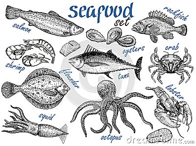 Hand drawn sketch set of seafood. Crab, lobster, shrimp, oyster, fish and squid. Engraved vintage template. Fish and sea Vector Illustration