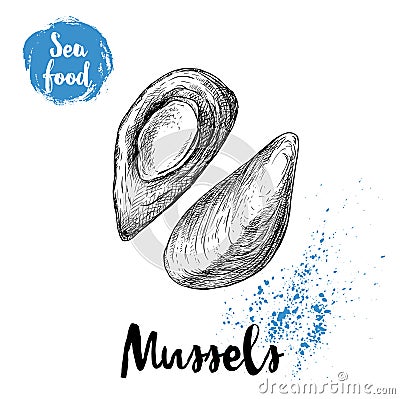Hand drawn sketch style boiled fresh mussels. Seafood vector illustration Vector Illustration