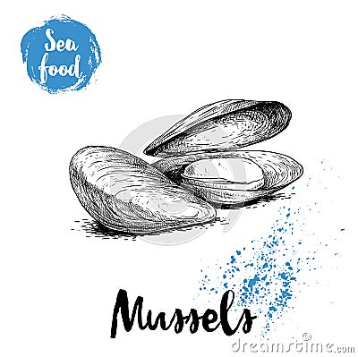 Hand drawn sketch style boiled fresh mussels. Seafood vector illustration poster Vector Illustration