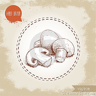 Hand drawn sketch style champignon mushroom composition. Whole and half cut. Vector farm fresh food Vector Illustration