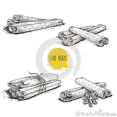 Hand drawn sketch style cinnamon sticks set. Tied with twine, with star anise and bunches. Isolated on white background. Vector Illustration