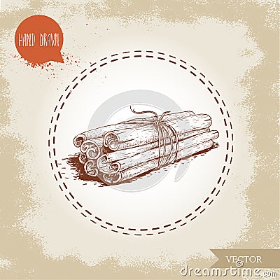 Hand drawn sketch style cinnamon sticks tied with twine. Isolated on vintage background. Vector Illustration