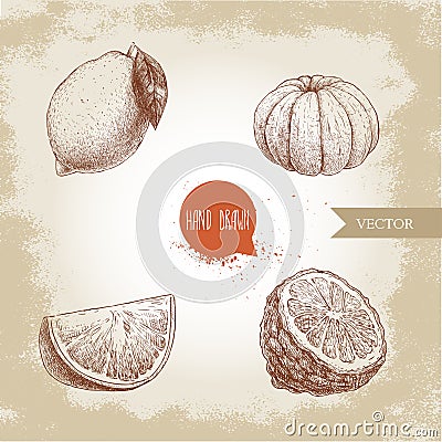 Hand drawn sketch style citrus fruits set. Lemon, lime, peeled tangerine, mandarine, orange slice and bergamot half. Vector Illustration