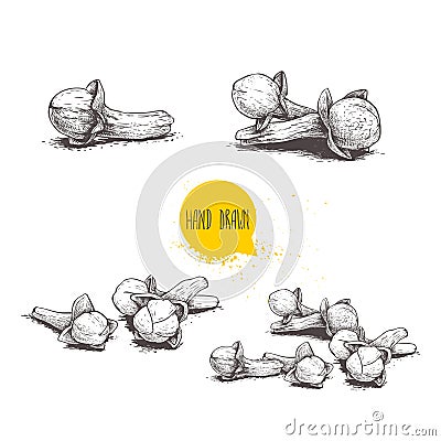 Hand drawn sketch style cloves set. Herbs, spices and condiment collection. Vector illustrations. Vector Illustration