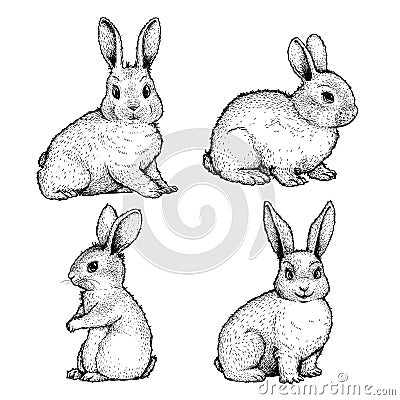 Hand drawn sketch style cute bunnies set. Easter spring animal symbols collection. Rabbit, farm animal. Vector Illustration