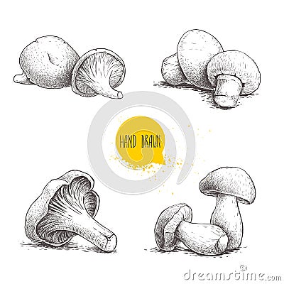 Hand drawn sketch style fresh fram mushrooms compositions set. Champignons, oysters, chanterelles and porcini mushrooms. Organic e Vector Illustration