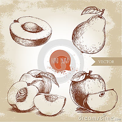 Hand drawn sketch style fruits set. Apricot half, peaches , whole pear, apples. Eco food vector illustration Vector Illustration