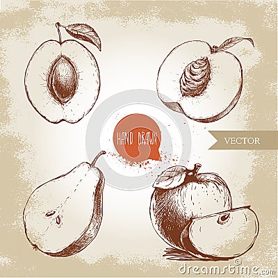 Hand drawn sketch style fruits set. Apricot, peach half with leaf, half pear, apples composition. Eco food vector illustration Vector Illustration