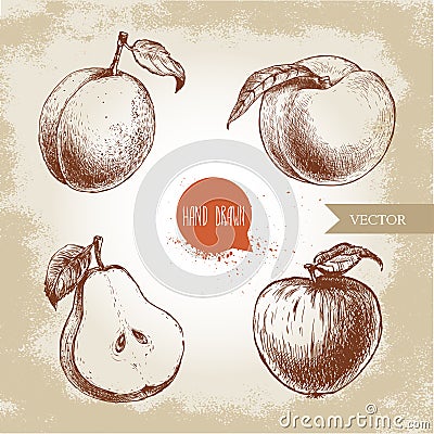 Hand drawn sketch style fruits set. Apricot, peach with leaf, half of pear and apple. Vector Illustration