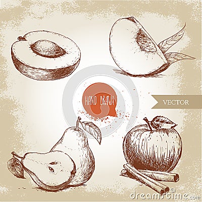 Hand drawn sketch style fruits set. Apricot, peach quarter with leafs, whole pear and half, apple with cinnamon. Vector Illustration