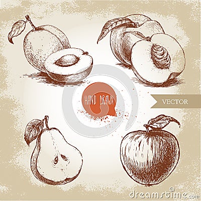 Hand drawn sketch style fruits set. Apricots, peaches , half pear, apple. Vector Illustration