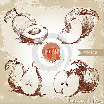 Hand drawn sketch style fruits set. Apricots, peaches, half pears, apples. Eco food vector illustration Vector Illustration