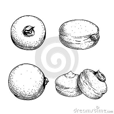 Hand drawn sketch style Italian Bombolone set. Baked with chocolate and white cream inside. Traditional Italian desserts. Vector Illustration