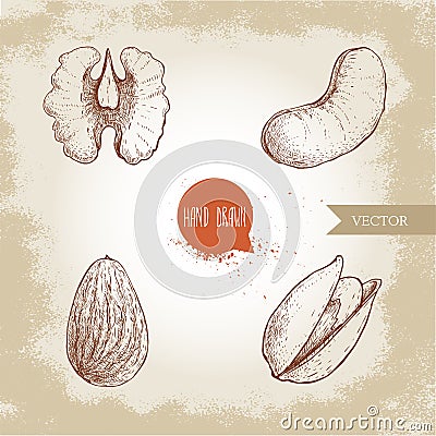 Hand drawn sketch style nuts set. Walnut, cashew, almond and pistachio seeds. Collection of healthy natural food. Vector illustrat Vector Illustration