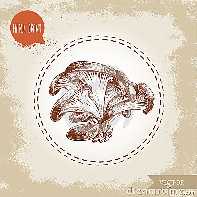 Hand drawn sketch style oyster mushroom bunch. Fresh farm food ingredient Vector Illustration