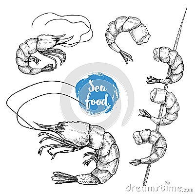 Hand drawn sketch style seafood set. Shripms, prawns, grilled shrimps on bamboo stick Vector Illustration