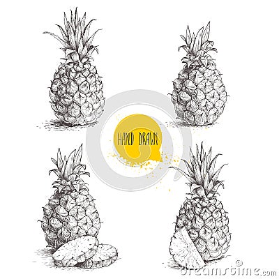 Hand drawn sketch style set illustrations of ripe pineapples. Vector Illustration