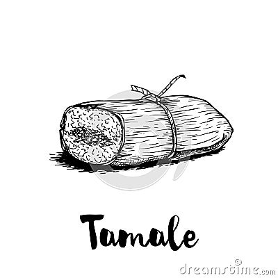 Hand drawn sketch style traditional mexican food tamale. Retro craft mexican cuisine vector illustration. Vector Illustration