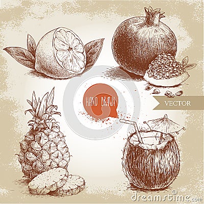 Hand drawn sketch style tropical fruits set. Half of lemon with leaf, coconut cocktail, pineapple with slices and pomegranates wit Vector Illustration