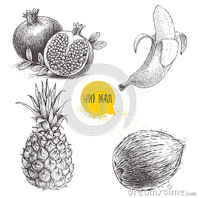 Hand drawn sketch style tropical fruits set isolated on white background. Banana, coconut, pineapple and pomegranates with seeds. Vector Illustration