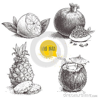 Hand drawn sketch style tropical fruits set isolated on white background. Half of lemon with leaf, coconut cocktail, pineapple wit Vector Illustration