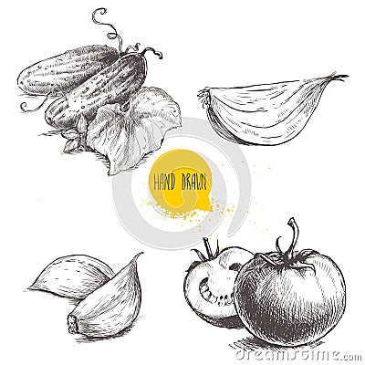 Hand drawn sketch style vegetables set. Ripe tomatoes, onion slice, cucumbers with leaf and garlic. Vector Illustration