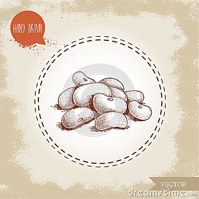 Hand drawn sketch style white beans batch. Vector illustration of healthy diet food isolated on old looking background. Vector Illustration