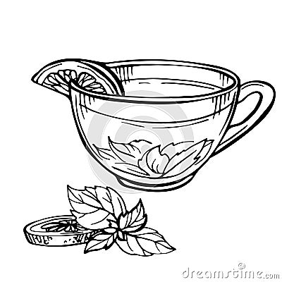 Hand drawn Sketch of Tea. Cup of tea with mint and lime, lemon Vector Illustration