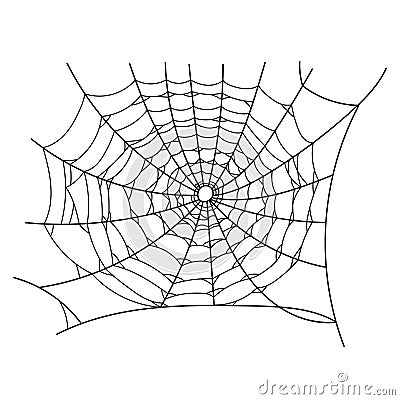 Hand drawn spider web illustration Vector Illustration