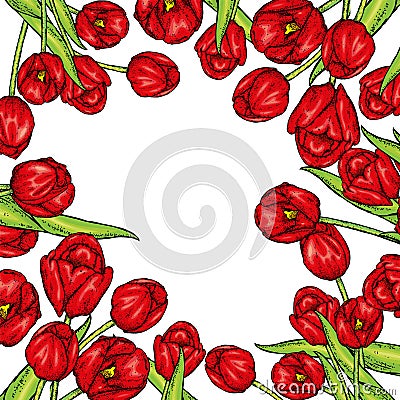 Hand drawn spring floral banner. Colored tulip. Welcome spring. Hand drawn illustration. Vector Illustration