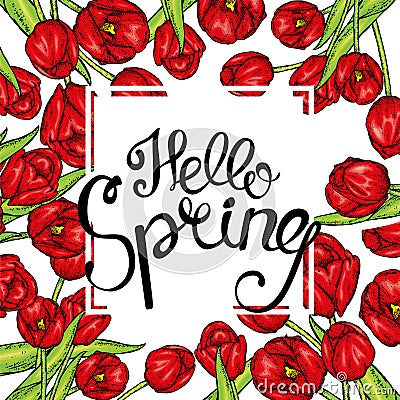 Hand drawn spring floral banner. Colored tulip. Welcome spring. Hand drawn illustration. Vector Illustration