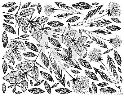 Hand Drawn of Stinging Nettle and Dandelion Plants Vector Illustration
