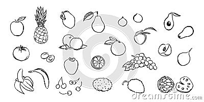 Hand drawn stylized fruit set. Vector collection isolated on white background. Graphic illustration for logo or icon Vector Illustration