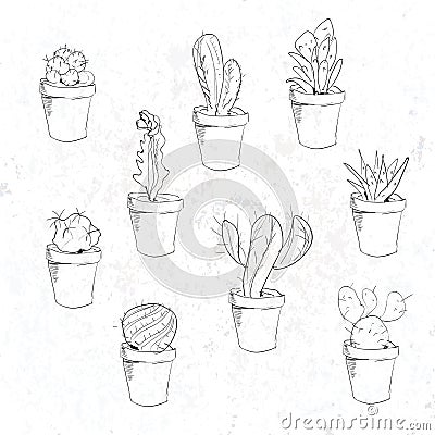 Hand drawn succulent and cactuse set. Doodle florals in pots. Cartoon Illustration